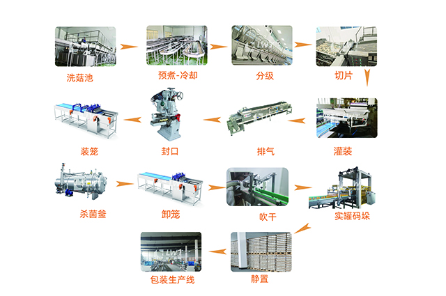 蘑菇罐头生产线